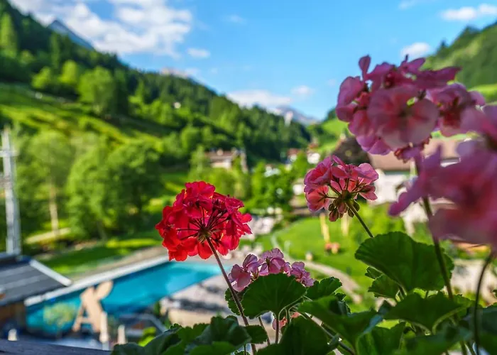 Alois 4 Sterne Superior Tux